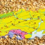 Pain and Grain in Central Europe
